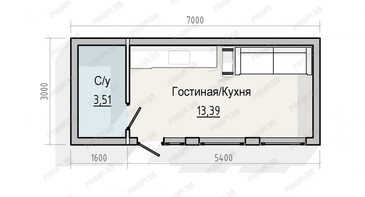 Дом с лофтом 7х3-24,85м2